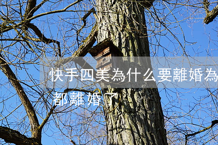 快手四美為什么要離婚(為什么玩快手的很多都離婚了)