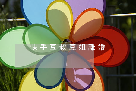 快手豆叔豆姐離婚