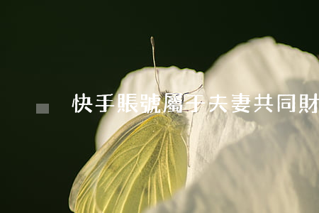 快手賬號屬于夫妻共同財產(chǎn)嗎