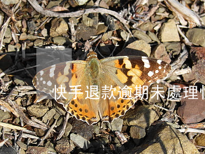 快手退款逾期未處理 快手退款怎么沒有了