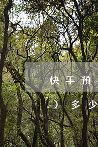 快手預(yù)售逾期可以申請(qǐng)多少賠償-快手預(yù)售商品超過預(yù)售時(shí)間還沒發(fā)貨怎么辦