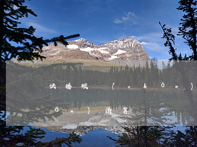 快播破產(chǎn)清算(快播破產(chǎn)清算)