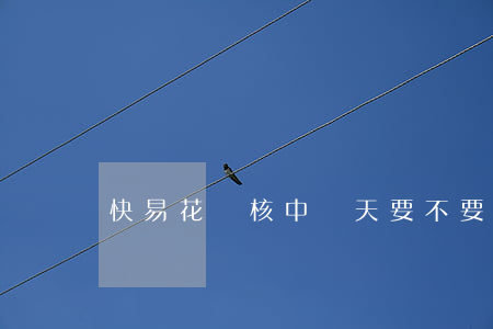 快易花審核中兩天要不要還款的-