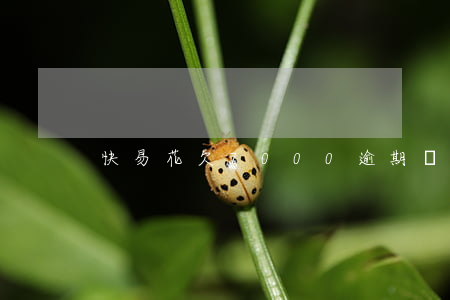 快易花欠7000逾期會起訴嗎