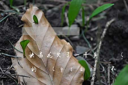 快易花欠了一千多塊錢(qián)(快易花的錢(qián)不還會(huì)怎樣)