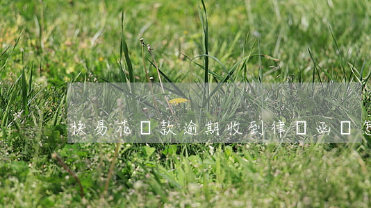 快易花貸款逾期收到律師函會怎樣