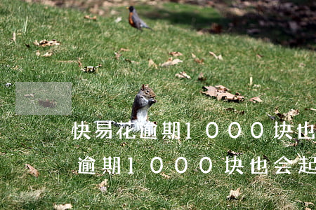 快易花逾期1000块也会起诉吗-快易花逾期1000块也会起诉吗是真的吗