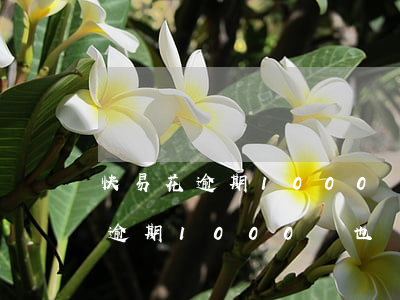 快易花逾期1000塊也會起訴嗎-快易花逾期1000塊也會起訴嗎是真的嗎