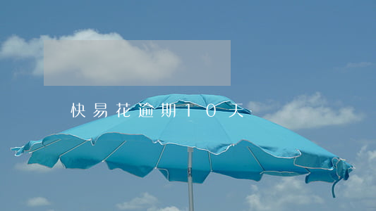 快易花逾期10天