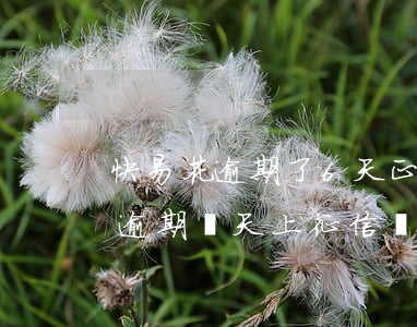 快易花逾期了6天正在想辦法處理-快易花逾期幾天上征信嗎