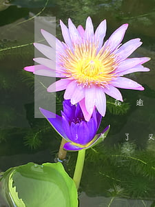 快易花逾期兩年起訴我了怎么辦(快易花逾期3年了又打電話)