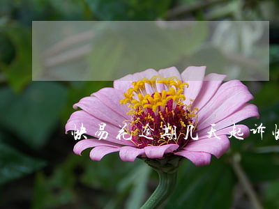 快易花逾期几天起诉(快易花多久起诉)