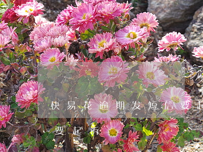 快易花逾期发短信要起诉(快易花逾期发短信要起诉)