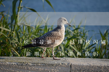 快易花逾期可以用快闪刷pos吗-快易花逾期3天还能再借吗