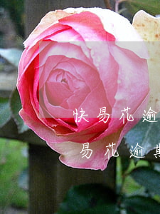 快易花逾期幾年過了起訴時(shí)間(快易花逾期三年不還會(huì)怎樣)