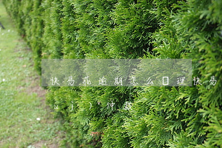 快易花逾期怎么處理(快易花逾期多久會(huì)仲裁)