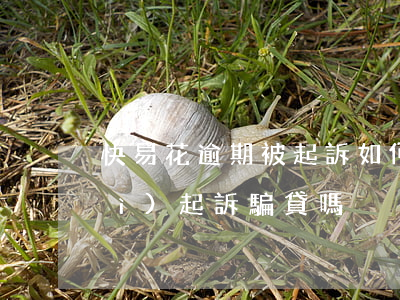 快易花逾期被起訴如何判決(快易花會(huì)起訴騙貸嗎)