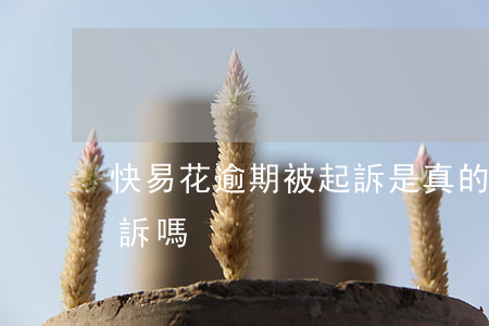快易花逾期被起訴是真的嗎(快易花真的會起訴嗎)