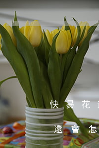 快易花逾期還款會套路嗎(快易花逾期三年不還會怎樣)