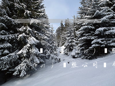 快準(zhǔn)車服合同糾紛(快準(zhǔn)車服公司簡介)