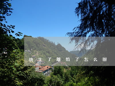 快生了離婚了怎么辦