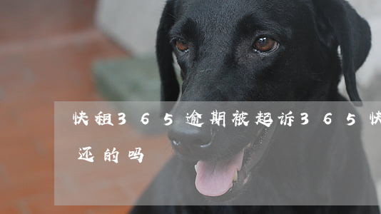 快租365逾期被起诉(365快租有逾期没还的吗)