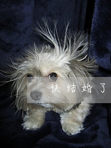 快结婚了要不要离婚(能不能离了婚马上结婚)