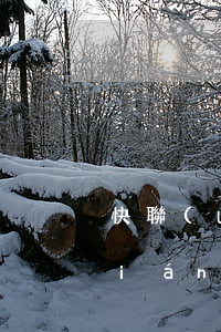 快聯(lián)貸有人逾期過嗎(快聯(lián)貸有人逾期過嗎)