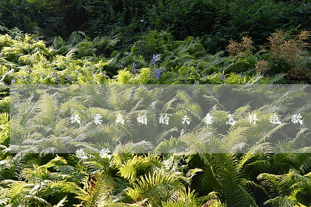 快要离婚的夫妻怎样挽救婚姻(要离婚了怎么挽救)
