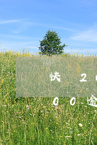 快貸2000逾期四年利息多少-快貸2000逾期四年利息多少錢