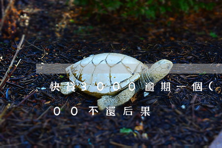 快貸3000逾期一個(gè)月(快貸3000不還后果)