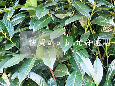 快貸app允許逾期一天(快貸逾期怎么辦)