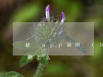 快貸app逾期會(huì)怎么樣(快貸逾期怎么辦)