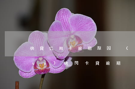 快貸信用卡逾期原因沒(méi)通過(guò)(快閃卡貸逾期)