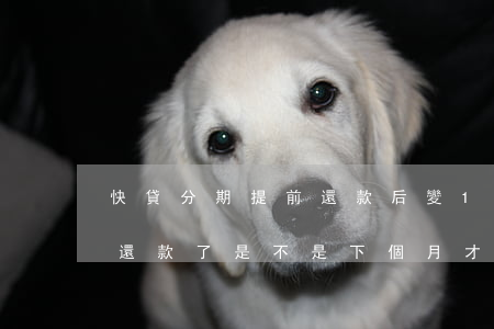 快貸分期提前還款后變14天了-快貸提前還款了是不是下個月才能借