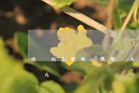快貸利息逾期寬限期幾天(建行快貸寬限期是幾天)