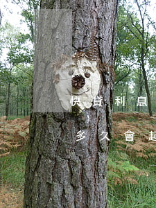 快貸利息逾期會一直長嗎(銀行快貸逾期一般多久會起訴)