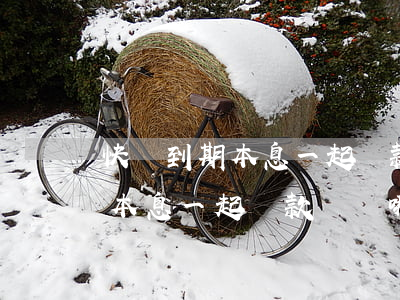 快貸到期本息一起還款選擇哪種-快貸到期本息一起還款選擇哪種還款方式