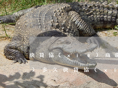快貸協(xié)商還款最長(zhǎng)多久(快貸協(xié)商還款最長(zhǎng)多久時(shí)間)