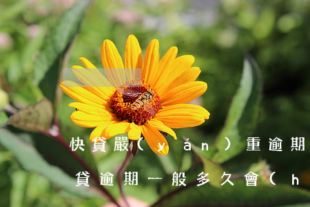 快貸嚴(yán)重逾期將訴訟仲裁(銀行快貸逾期一般多久會(huì)起訴)