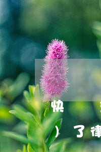 快貸嚴重逾期法律通知書（快貸逾期發(fā)了律師函）