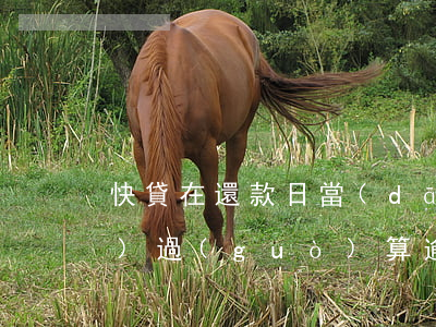 快貸在還款日當(dāng)天錯(cuò)過(guò)算逾期嗎-快貸在還款日當(dāng)天錯(cuò)過(guò)算逾期嗎怎么辦