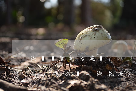快貸寶里面的花無(wú)極逾期會(huì)怎么樣-快花花7天貸款