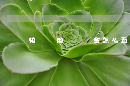 快貸專用賬戶資金怎么直接還款-