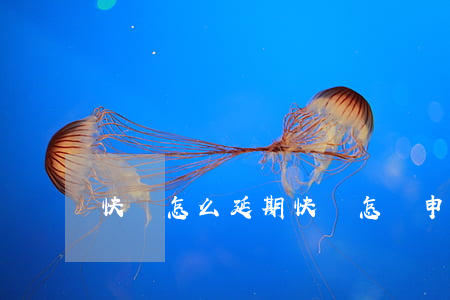 快貸怎么延期（快貸怎樣申請停息掛賬）