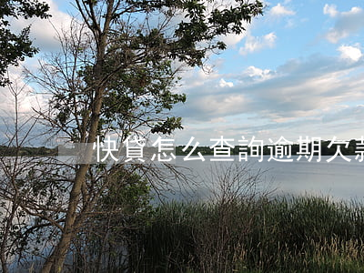 快貸怎么查詢逾期欠款(怎么查詢快貸還款)