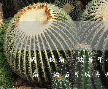 快貸提前還款后可以再次借出來嗎-快貸提前還款后可以再次借出來嗎