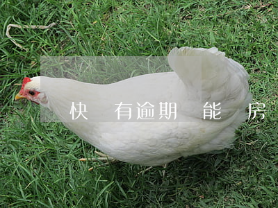 快貸有逾期還能貸房貸嗎(快貸可以還房貸嗎)