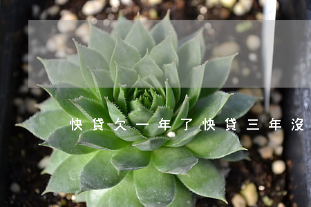 快貸欠一年了(快貸三年沒(méi)還)