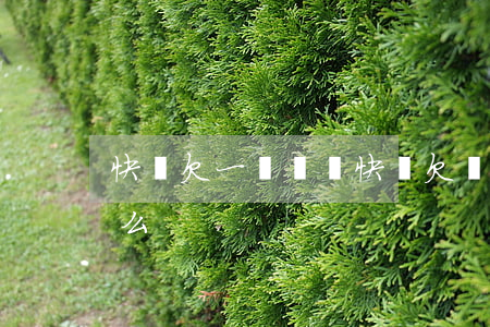 快貸欠一萬沒還(快貸欠兩千多不還后果是什么)